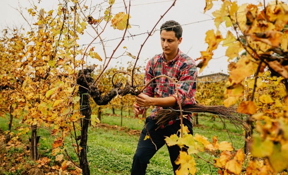 880155 (1)